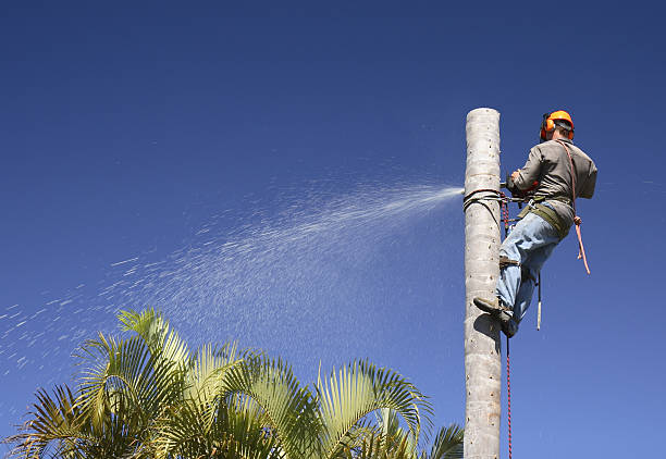 Lawn Watering Services in Glenns Ferry, ID